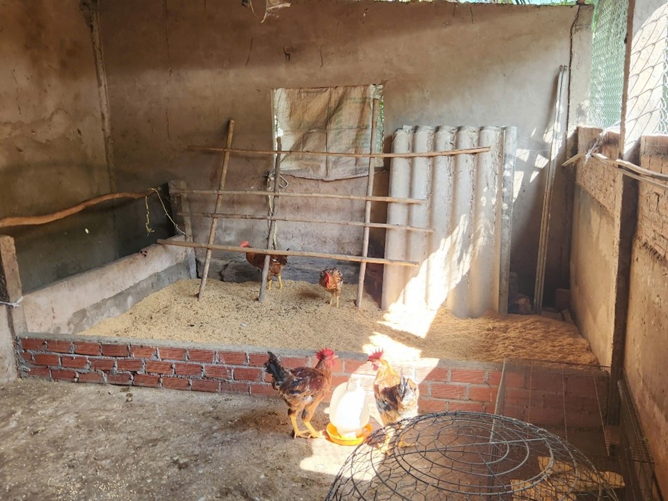 21234567891011121314151617181920212223 21234567891011121314151617181920212223