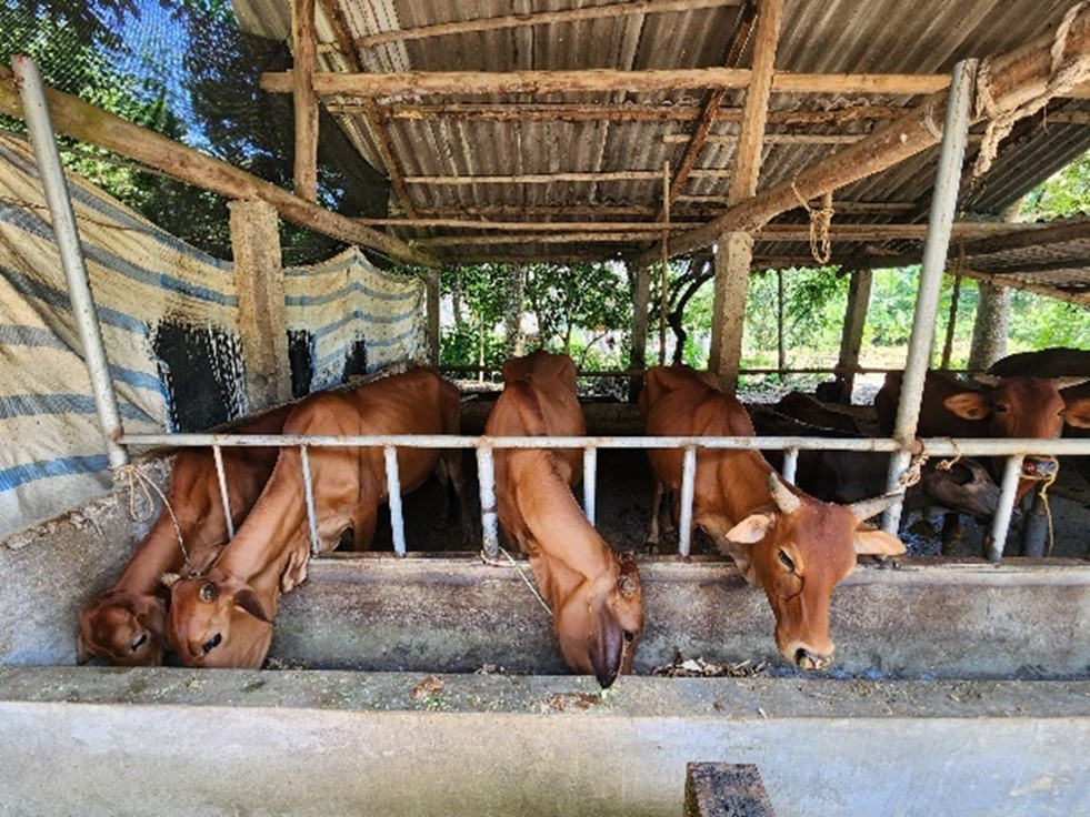 2123456789101112131415161718192021222324