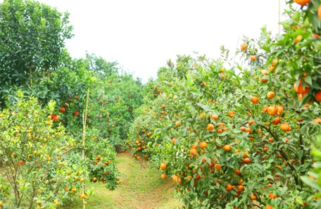 21234567891011121314151617181920212223242526