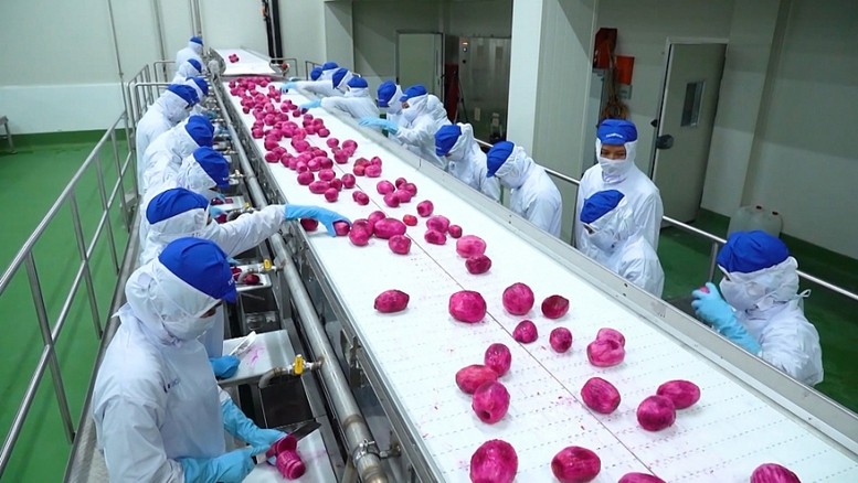 3821nongsan2165830735645491417372820250102084555-1