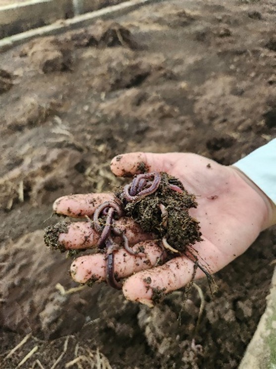 4123456789101112131415161718