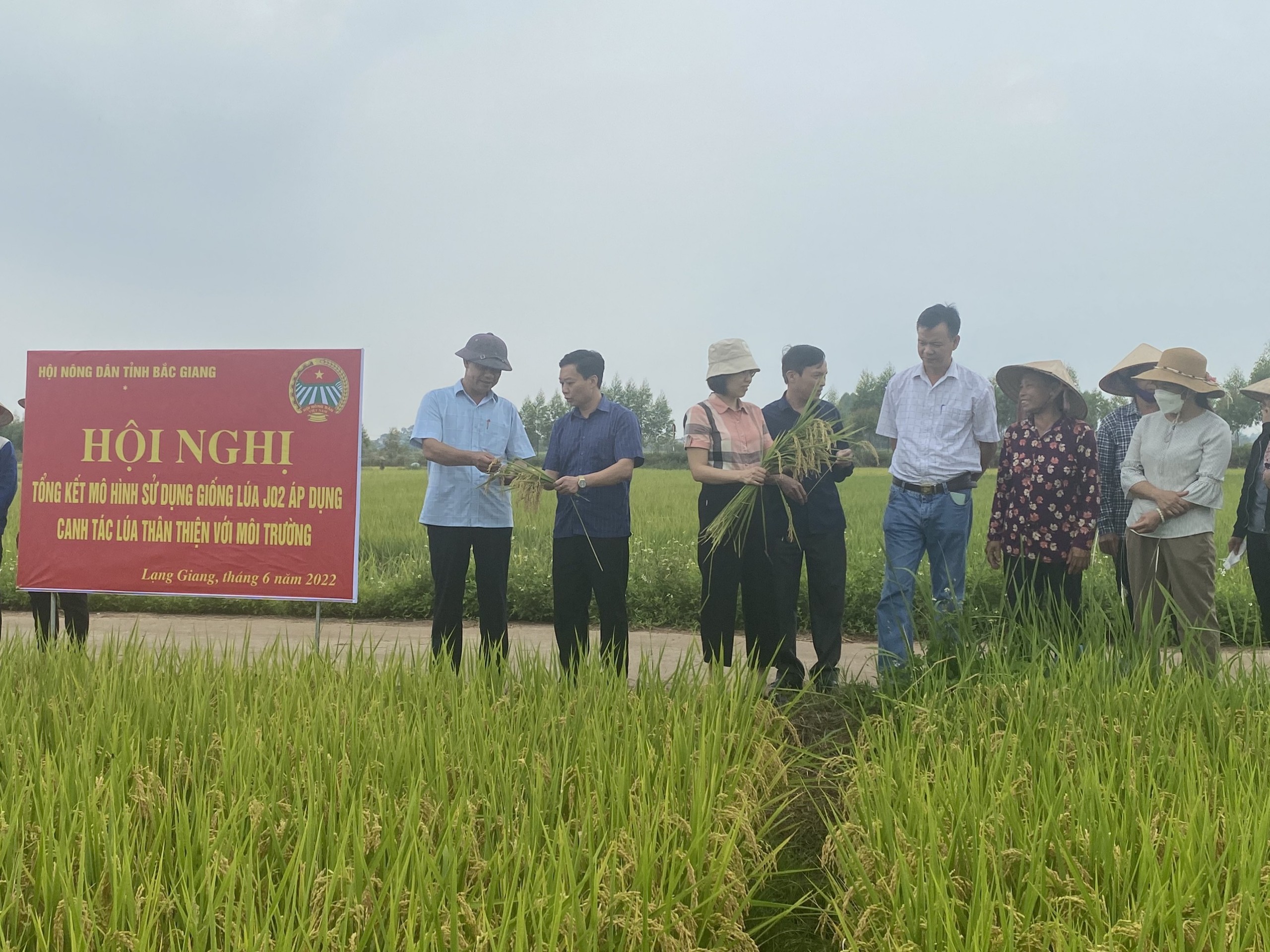 Bắc Giang: Nhân rộng mô hình canh tác lúa thân thiện với môi trường