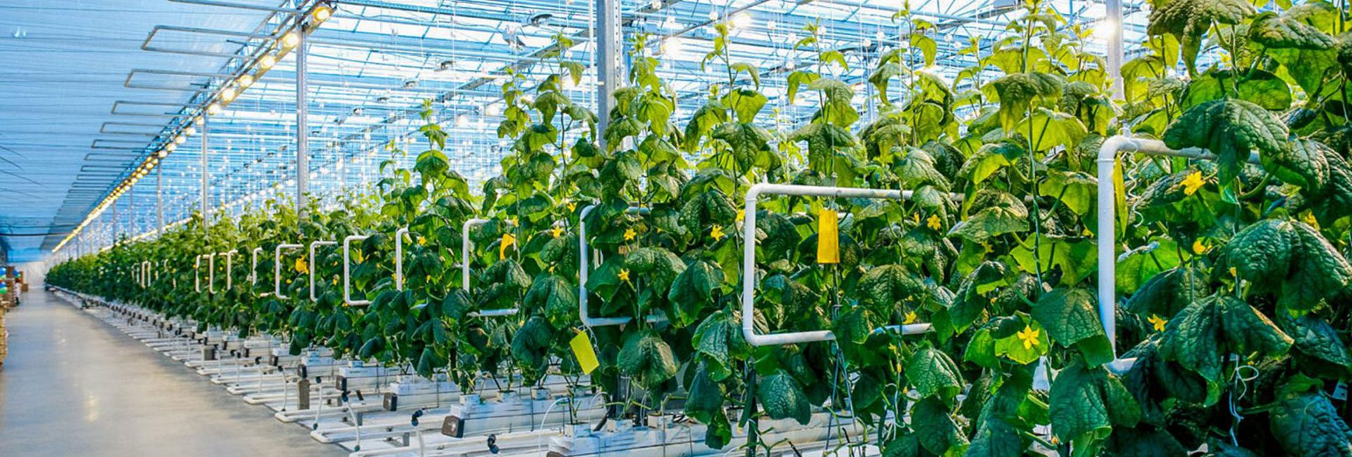 chuyendoisotrongnganhnongnghiep1