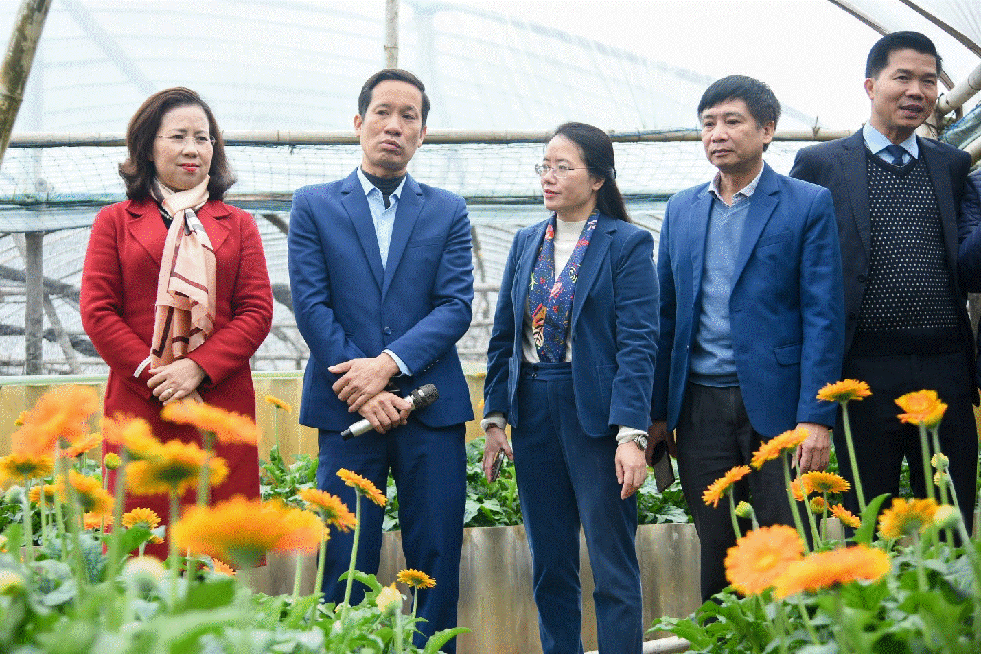 Khoa học công nghệ góp phần chuyển đổi cơ cấu cây trồng ở Đan Phượng, Hà Nội.