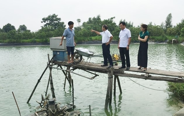 LÀM GIÀU TỪ MÔ HÌNH NUÔI CÁ NƯỚC NGỌT