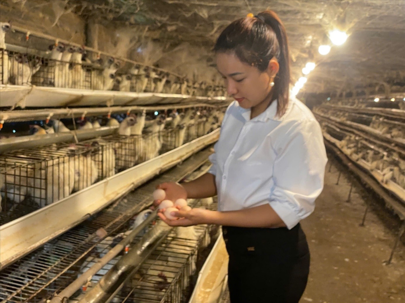 Làm giàu từ mô hình nuôi gà ác