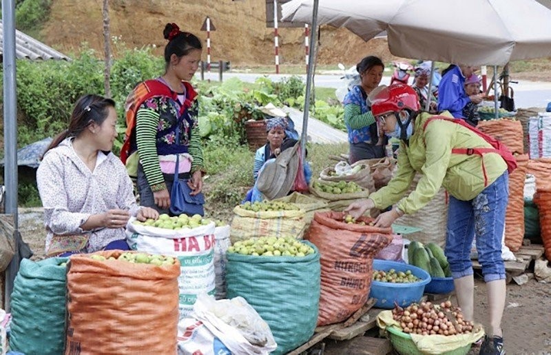 Người Mông ở Điện Biên bảo nhau phát triển kinh tế, đồng lòng xây dựng nông thôn mới