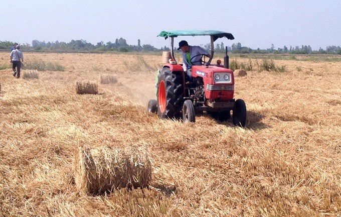 Nguồn tài nguyên tái tạo từ phụ phẩm nông nghiệp