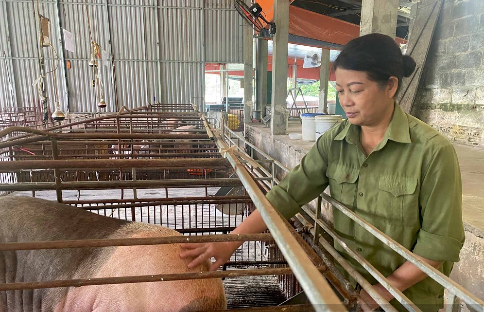 nongdanxuatsaccaobang1665644162499205589383416656462502721741041948