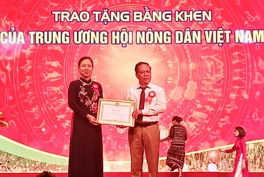 phuong-anh-thang-11