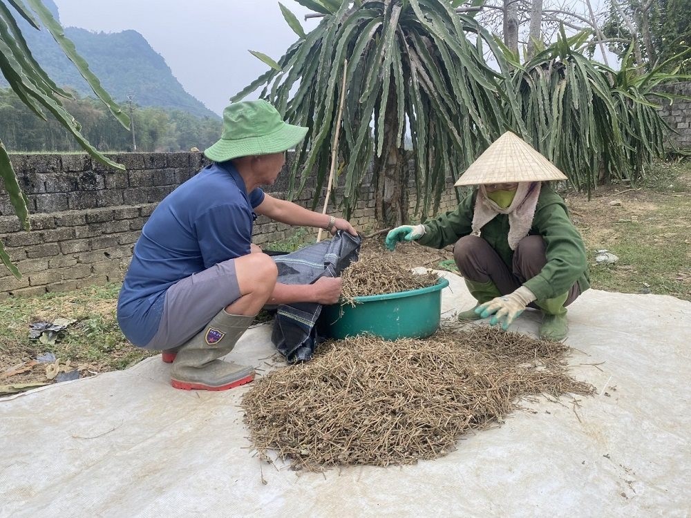 thanhhoa