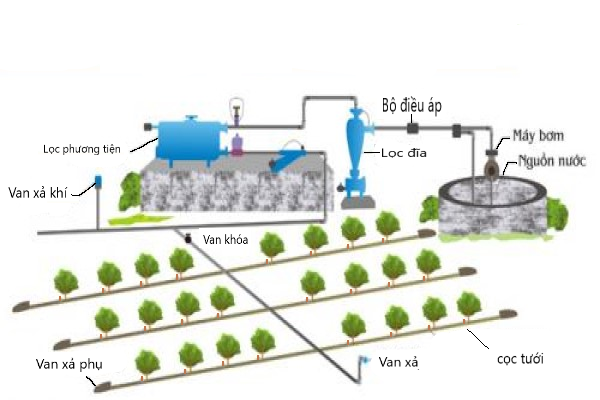 TỰ ĐỘNG HÓA HỆ THỐNG TƯỚI VÀ BÓN PHÂN THÔNG MINH BẰNG CẢM BIẾN ĐỘ ẨM – MỘT GIẢI PHÁP SÁNG TẠO MANG LẠI HIỆU QUẢ KINH TẾ CHO NHÀ NÔNG